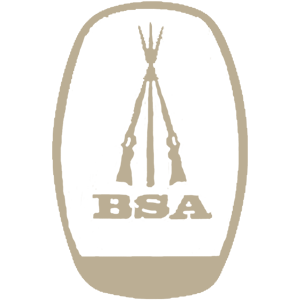 BSA